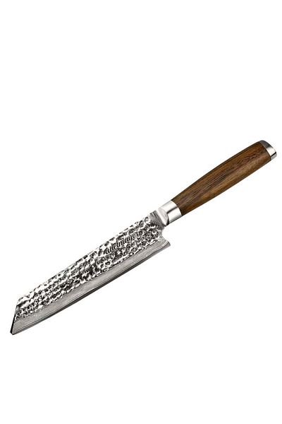 Fixxia Japanese Kiritsuke Damascus knife 21.5 cm – Professional kitchen knife