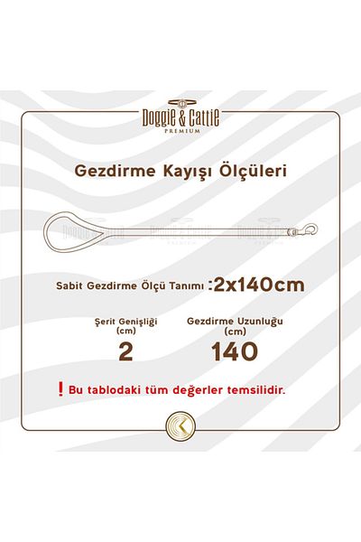 Doggie مقود سفر للكلاب بحزام أمان منسوج أسود متوسط 2.5x50-80 سم