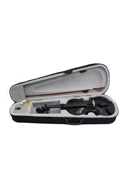 hoormusic Full size 4/4 violin, black color, with accessories