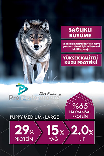 Pro Performance PUPPY ORTA - BÜYÜK IRK KUZULU VE YABANMERSİNLİ 12KG