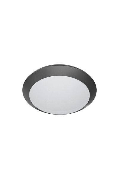 Braytron Plafoniera CORP pt EXTERIOR 1xE27 NAPOLI-PC D:285mm IP65 FUMURIU