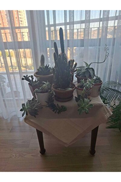 PAZARSEN مفرش طاولة من القماش الكتاني المسطح الحديث مربع الشكل من فيسكوس