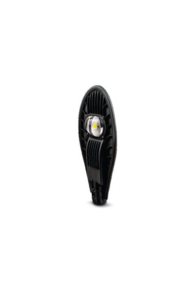 Braytron Lampă stradală cu LED 60W, 6500K, IP65 -