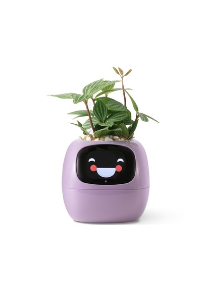 Itigoitie أصيص زهور ذكي مزود بـ 7 مستشعرات وشرائح ذكاء اصطناعي - أصيص زهور تف...