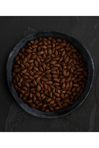 Canagan طعام الكلاب الجاف بروتين الحشرات 1.5 كجم