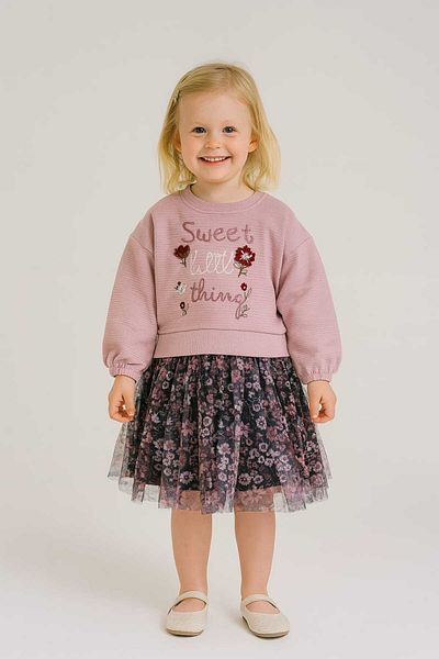 VİYOLİNA Tulle Embroidered Dress