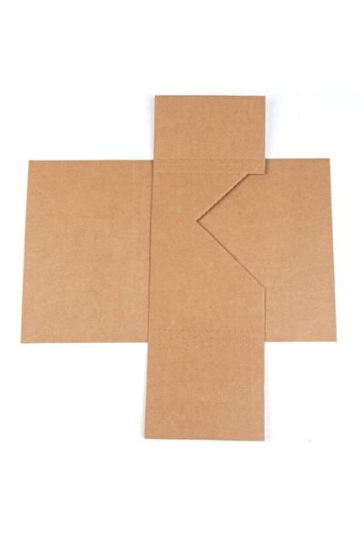 Remus Cutie carti transport protectie 3 MAX 350x270x60 mm tip III natur