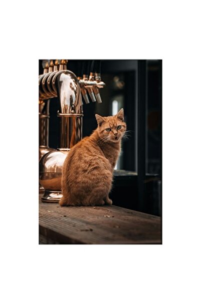 OEM Tablou Canvas, "Pisica misterioasa la barul de bere", 70 x 100cm