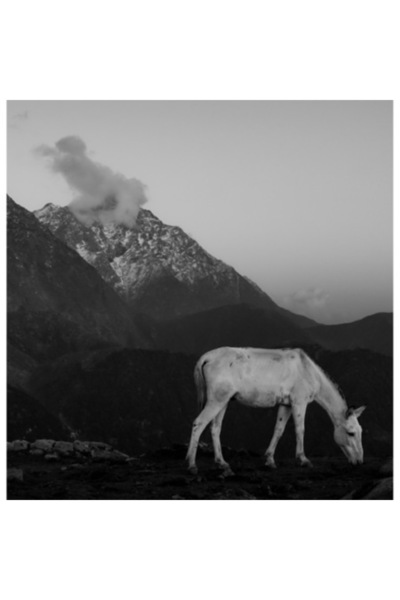 OEM Tablou Canvas, "Magarul singuratic in munti falnici", 50 x 50cm