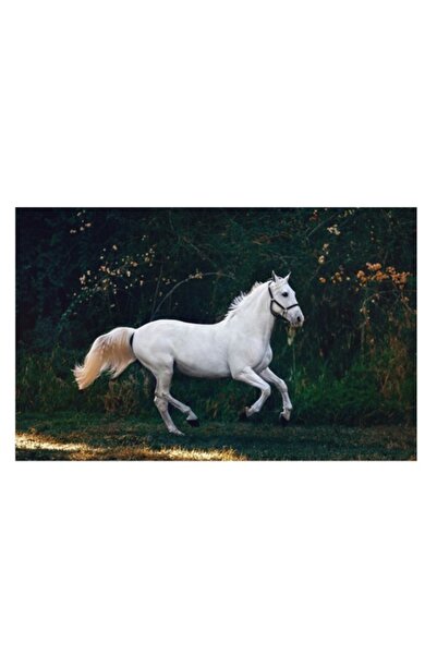 OEM Tablou Canvas, 'Un cal alb alearga liber', Gratie, Eleganta, Libertate, V...