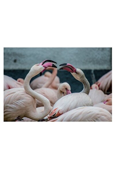 OEM Tablou Canvas, "Flamingo in mijlocul conversatiei roz", 70 x 50cm