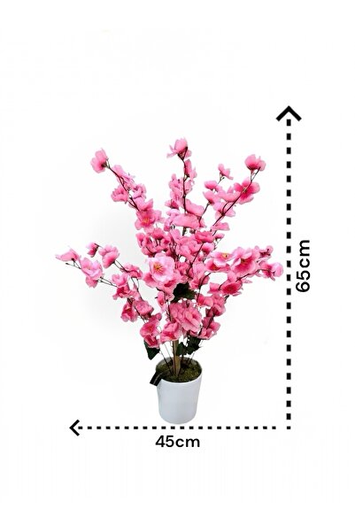 Tunira Home Sakura Bahar Erik Çiçeği Bodur Bitki 65cm
