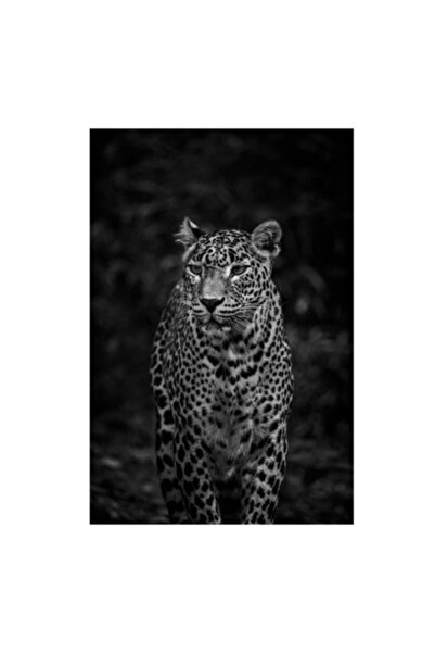 OEM Tablou Canvas, "Leopardul din umbra tainica", 50 x 90cm