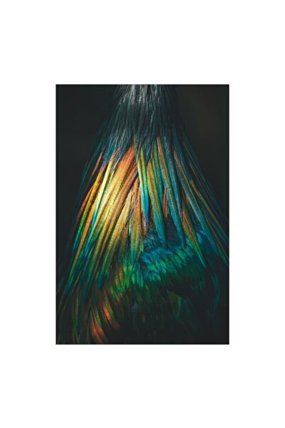 OEM Tablou Canvas, "Aripile curcubeului la amurg", 50 x 70cm