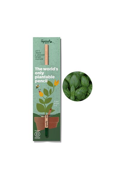 Natural Creion plantabil, Sprout, busuioc