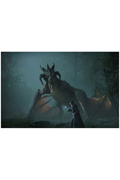 Warner Hogwarts Legacy για Xbox Series X