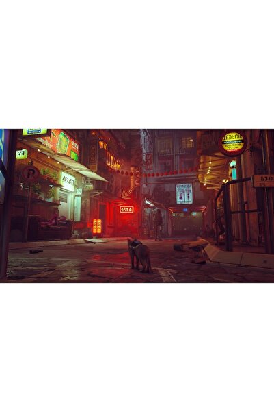 ANNAPURNA INTERACTIVE Stray - PlayStation 4 (Game)