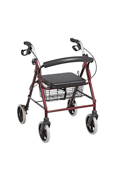 POYLİN P580 Ekonomik Rollatör