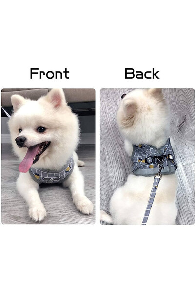 KINGLEAD Set ham și lesă pentru câini, material textil, alb/albastru, mărimea XS