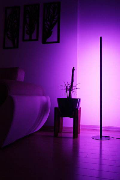 KaraköyOnline 2 Adet Dekoratif Köşe Led Lambader -led Lamba Işık Sistemi - Full Rgb 256 Renk