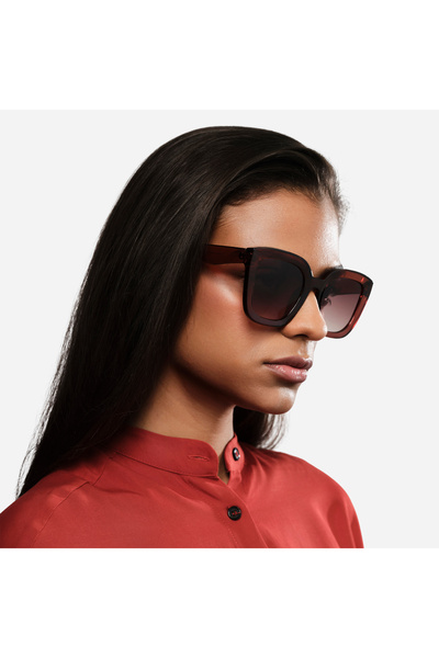 The Optical Club The Udri Sunglasses