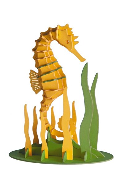 Fridolin Model 3D, Căluț de mare