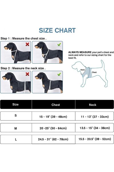 ERUW ham pentru câini, nailon, gri/albastru, mărimea M