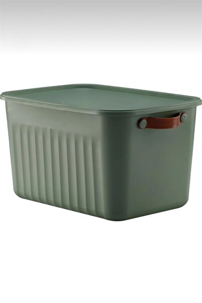 Bayev Set of 4 Green 20 Lt Boxsis Mega Size Multi-Purpose Box with Lid Closet Organizer Organizer-Hobby Box