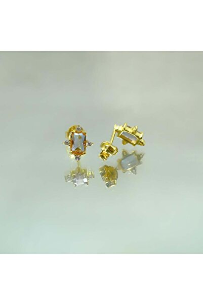 FasekGold Gümüş Küpe - Kadın Octagon Kesim Zultanit (RENK DEĞİŞTİREN)taşlı 0.95 Karat Pırlanta Montörü 925 Aya