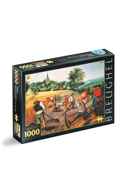 D-Toys Pieter Brueghel the Younger Puzzle - Adult Puzzle 1000 Pieces - Summer/Summer