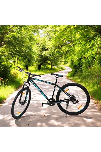 PROCART Panther unisex bicycle, 29 inch wheels, disc brakes, 21 speeds, Shimano shifter, steel frame