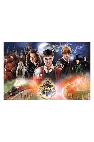 divendi-ro Harry Potter Puzzle, All Characters, 300 Pieces, 60x40cm