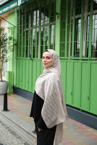 Hint İpek Jacquard Shawl Jakav21-03