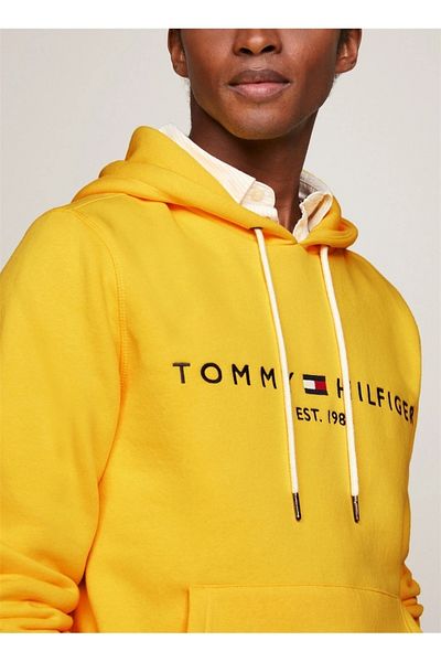 Tommy Hilfiger Sport ._Tommyhilfiger Men's Hooded Sweatshirt Regular Fit
