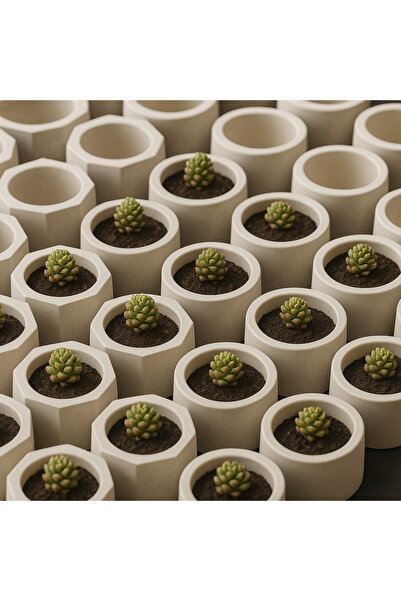 ARGKRİSTAL Beton Mini Saksı & Mumluk - 24’lü Toptan Set (Silindir / Köşeli)