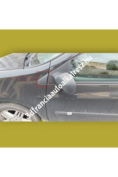 swordslife Renault Clio 3 Plastic in Front of the Mirror in the Left Mudguard