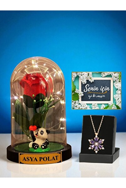 MEGA KANYON İsimli Hediye | Sevimli Pandalı Led Işıklı Kırmızı Güllü Fanus ve...