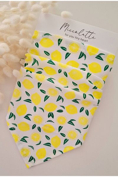 Miccolatte Baby Girl and Child Fruit Patterned Poplin Fabric Tie Triangle Bandana (Single)