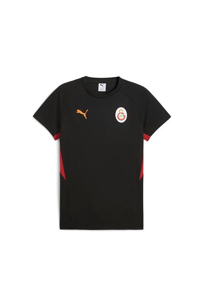 Puma Galatasaray Evostripe Men's T-Shirt