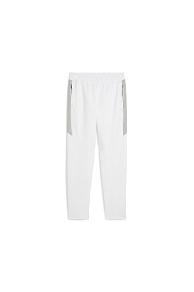 Puma Evostripe Pants Dk Men's Adult Sweatpants