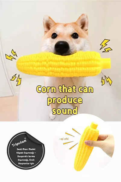 TRİPULAM Sesli Mısır Model Köpek Oyuncağı – Dayanıklı Isırma Oyuncağı, Evcil Hayvanlar için