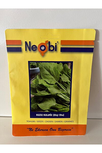 Neobi Kuzu Kulağı | Ekşi Otu | Tohumu 5 Gram