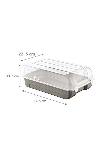 Smartware Set of 10 Men's Terra Shoe Boxes