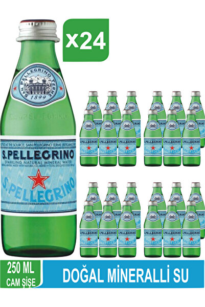 San Pellegrino S.pellegrino Doğal Mineralli Su 24x250 ml