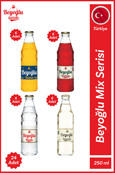 Beyoğlu Gazlı İçecek Mix-2 24x250 ML