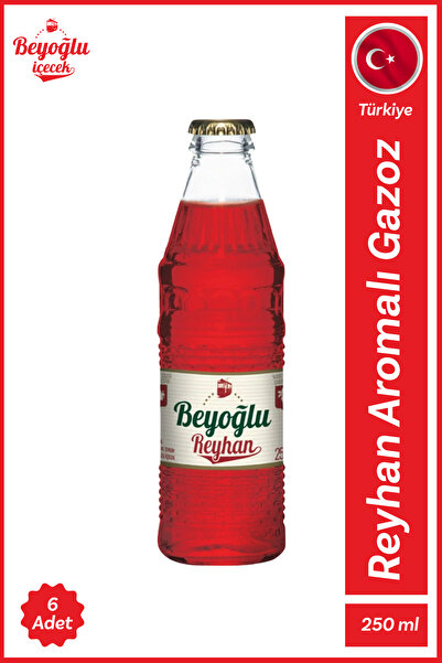 Beyoğlu Gazlı İçecek Mix-2 24x250 ML