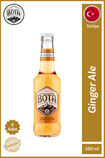 bota Ginger Ale Original Recipe Tonic 6x250 Ml
