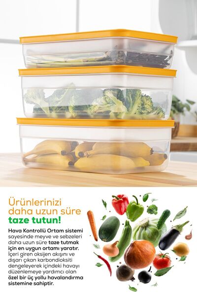 Vienev Mint Colored 6-Piece Adjustable Vegetable and Fruit Storage Set - 2.5-3.8-5 Liters