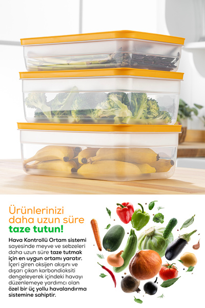 Vienev Πράσινο δοχείο αποθήκευσης λαχανικών και φρούτων 2,5 λίτρων - 3 στάδια ρύθμισης