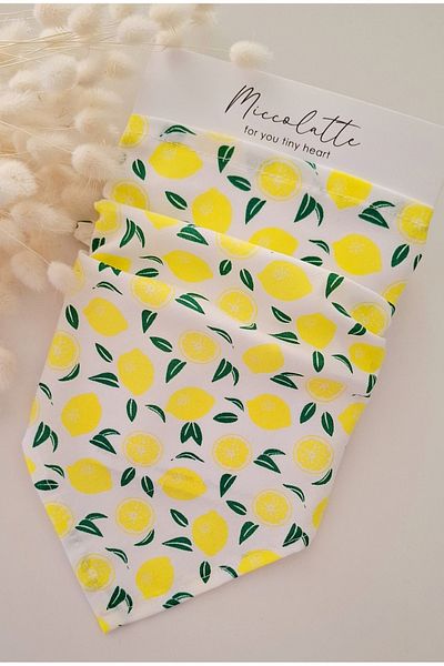 Miccolatte Baby Girl and Child Fruit Patterned Poplin Fabric Tie Triangle Bandana (Single)